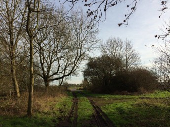 Cousin James Cousins' new land at Sulby.